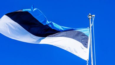 Фото - Эстония приостановила выдачу учебных виз и ВНЖ россиянам. И ограничила возможности для трудоустройства