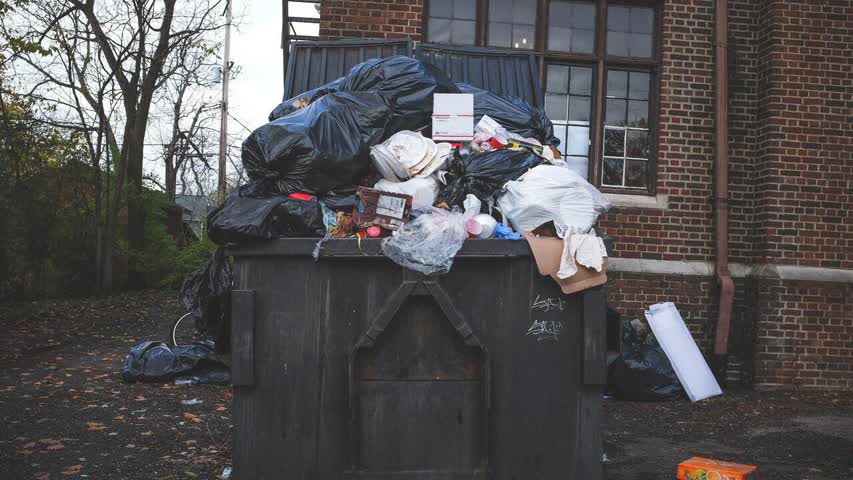 Фото - Юрист раскрыла детали «штрафов за мусор» для россиян